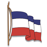 Bandera Institucional